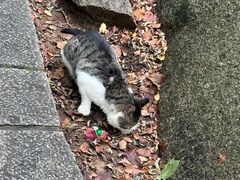 -崂山巨峰游览区
