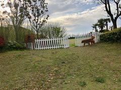 -上海崇明金茂凯悦酒店