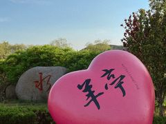 -羊亭河湿地公园