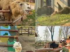 -祥源·阜阳生态乐园