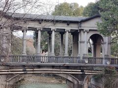 -蠡湖中央公园