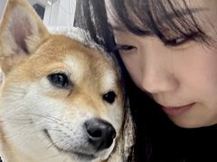 -怪兽屋·羊驼·猫咖·狗咖(俊华广场店)