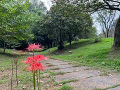 -杭州植物园