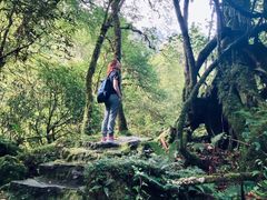-燕子沟风景区