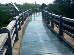 -东寨港红树林旅游区