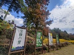 -塔川景区