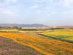 -光明小镇欢乐田园