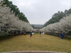 -同济大学(嘉定校区)