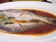 清蒸发财鱼-涵苑私宴定制(外滩店)