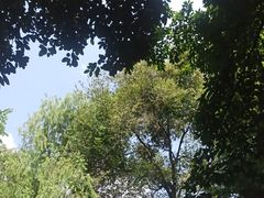 -大妙火锅·非物质文化遗产(东湖公园店)