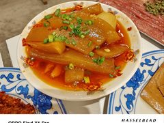 -朱光玉火锅馆(正弘城店)