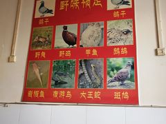 -龙小海荆沙鸽子店(瑞安街店)