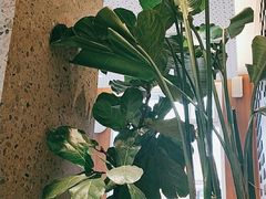 -德克士(亚中商城店)