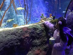 -沈阳海洋探索中心