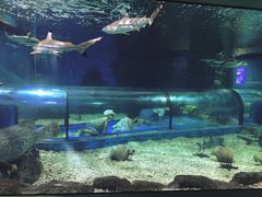 -福州罗源湾海洋世界旅游区