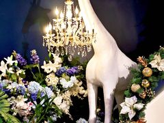 -狮拾久·现代新加坡料理(福田COCO Park店)