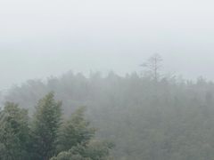 -陶祖圣境风景区