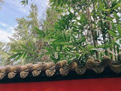 -成都武侯祠博物馆