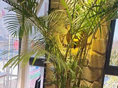 -陈熹公民族美食文化餐厅(中华广场店)