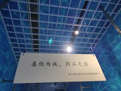 -上海外滩星空失恋减压馆(外滩旗舰馆)