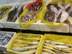 -芦潮港集贸市场