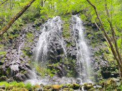 -望天鹅景区