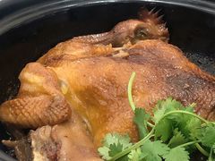 猪肚炖土鸡-浔味·山屿湖·正宗淳牌全鱼宴老字号