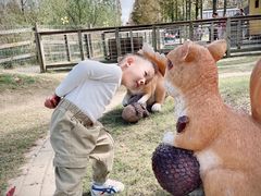 -前小桔亲子创意农场·草莓采摘·露营烧烤