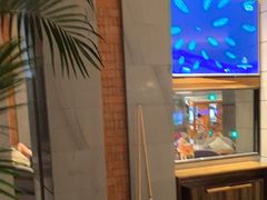 -浅深Cheersum(曹杨店)