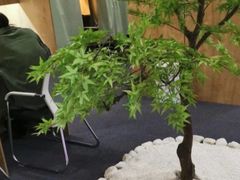 -纸上自习室(观音桥店)