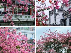 -风云岭森林公园