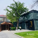 打卡杰伦的奶茶店