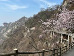 -少华山国家森林公园