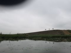 -哈素海
