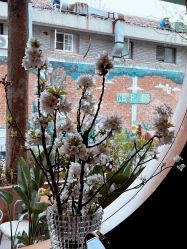 -花隐·美芙炫海菲秀皮肤管理中心