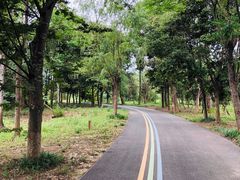 -白鹭湾湿地公园