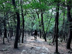 -虞山风景区