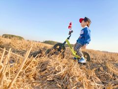 -嘉北郊野公园