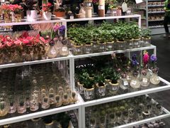 -KKV(深圳宏发大仟里店)