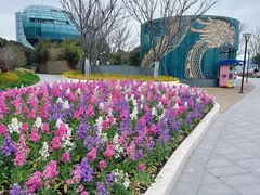 -北外滩滨江绿地