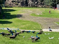 -哈尔滨北方森林动物园