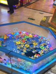 -卡通尼·Safari非洲探索乐园·生日会(金桥国际商业广场店)