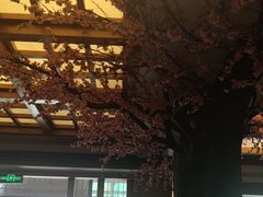 -鸥迪足道(安庆店)