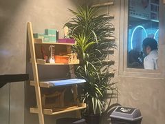 -施奈儿.洗头頭療.按摩SPA.采耳(上梅林店)