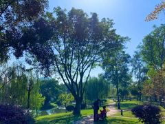 -西南交通大学(九里校区)