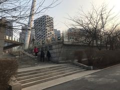 -长白岛森林公园