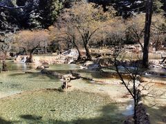 -黄龙山原始森林景区
