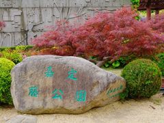 -嘉定紫藤园
