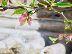 -西安关中民俗艺术博物院