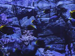 -成都浩海立方海洋公园